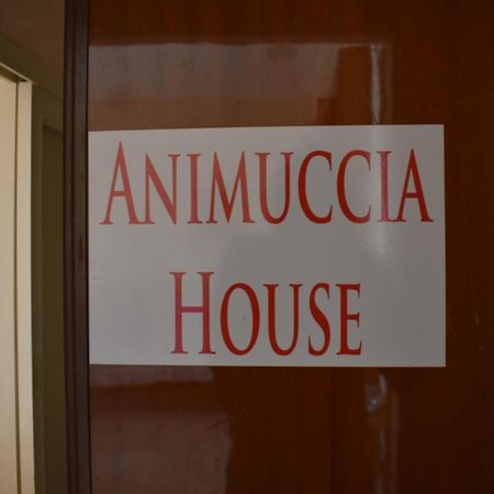 Casa Vacanze "Animuccia House" Roma Buitenkant foto