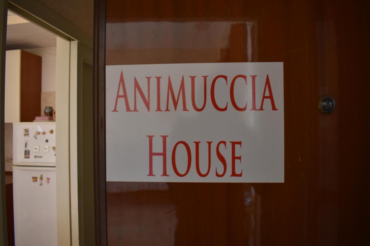 Casa Vacanze "Animuccia House" Roma Buitenkant foto